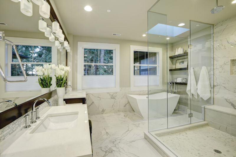 Contemporary Shower Remodel
