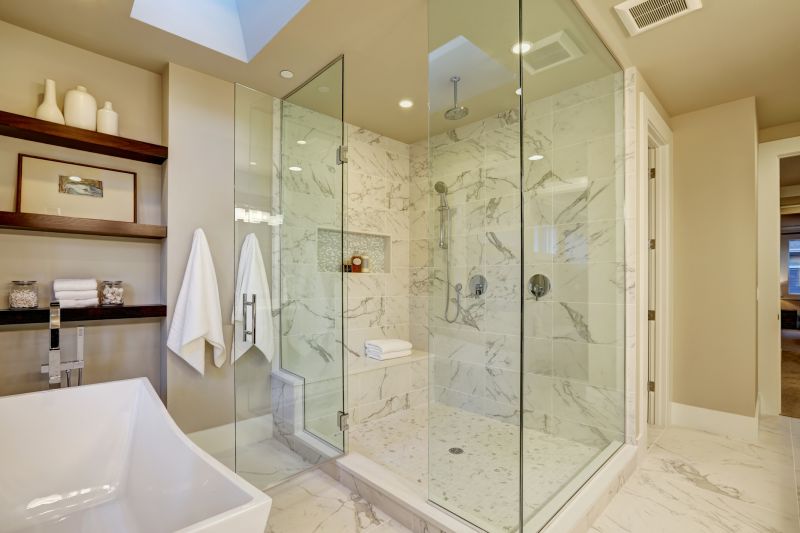 Modern Walk-in Shower with Glass Enclosure